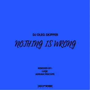 Download track Nothing Is Wrong (Luqe Remix) DJ Oleg Skipper