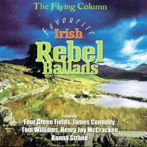 Download track Tom Williams Flying Column