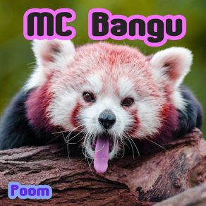 Download track Hey MC Bangu