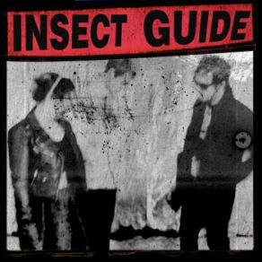 Download track Don't You (Forget About Me) Insect Guide