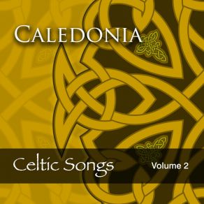 Download track Flowers Of The Forrest Celtic Spirit