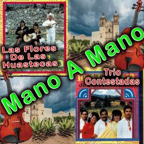 Download track Las Noches Las Hago Dias (Las Flores De Las Huastecas) Las Flores De Las Huastecas