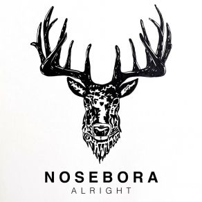 Download track It's Okay To Feel Alone (Interlude) Nosebora