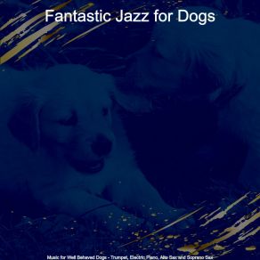 Download track Dream Like Smooth Jazz Saxophone - Vibe For Sweet Dogs Fantastic Jazz For Dogs