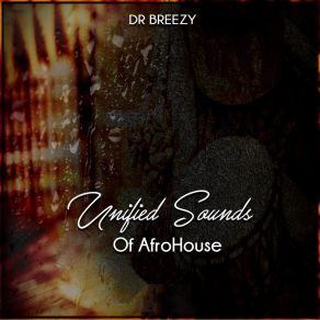 Download track Unified Sounds Of Afrohouse Dr Breezy