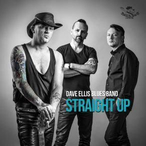 Download track Sun Goes Down Dave Ellis Blues Band