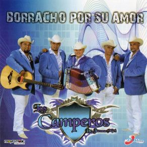 Download track Agustín Chavez (Norteño Banda) Los Camperos De Jacona Michoacán