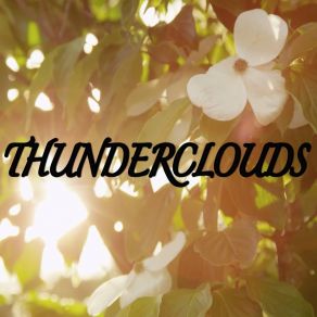 Download track Thunderclouds (Tribute To Lsd And Labrinth, Sia And Diplo) DJ MoodzLabrinth, Sia, Diplo