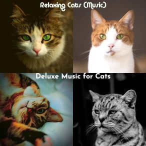 Download track Nurturing (Relaxing Cats) Deluxe Music For Cats