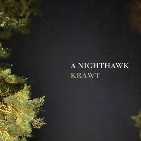 Download track To Sleep A Nighthawk