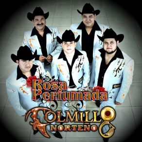 Download track Rosa Perfumada Colmillo Norteño