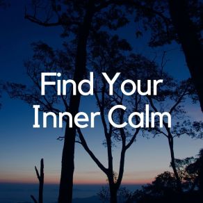 Download track Calm Music, Pt. 7 Meditation Music Club