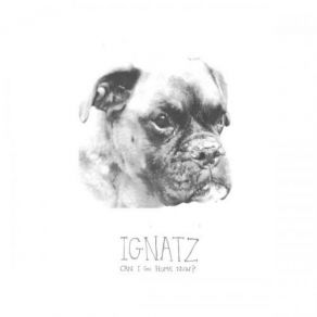 Download track A Hard Day Ignatz