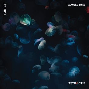 Download track Flutter Samuel Bass