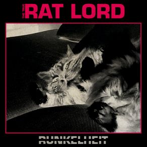 Download track Destroy Rat Lord