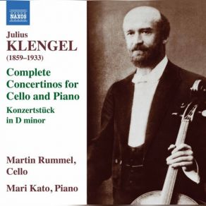 Download track Cello Concertino No. 1 In C Major, Op. 7: III. Rondo. Vivace Martin Rummel, Mari Kato