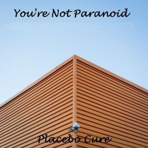 Download track Charity Placebo Cure