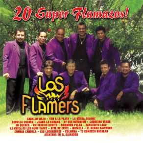 Download track Los Luchadores Los Flamers