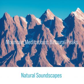 Download track A Summer Day's Chirping Crows Like A Mountain's Smokey Wind Through The Heart Natural Soundscapes