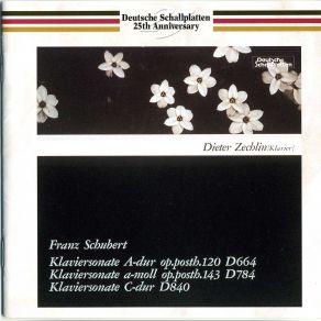 Download track No. 13 In A Major, D. 664, 1. Allegro Moderato Dieter Zechlin