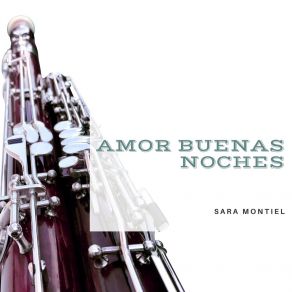 Download track Tú No Eres Eso Sara Montiel