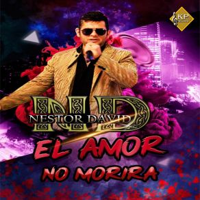 Download track Se Olvido Del Amor Nestor David