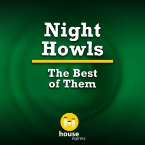 Download track Timeless (Edit) Night Howls