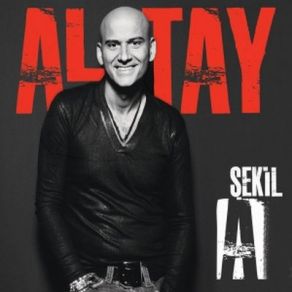 Download track Şekil A (Lounge)  Altay