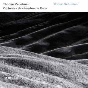 Download track Symphony No. 1 'Spring', Op. 38 - I. Andante Un Poco Maestoso - Allegro Molto Vivace Thomas Zehetmair, Orchestre De Chambre De Paris