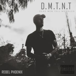 Download track DMTNT Intro Rebel Phoenix