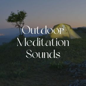 Download track Years Of Birds Sounds Of Nature Noise