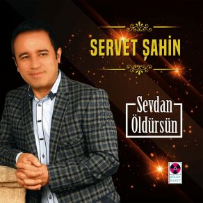 Download track Tozanlının Kızları Servet Şahin