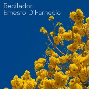 Download track Te Cambio Ernesto D´Farnecio