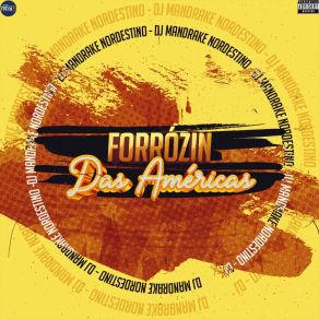 Download track Forrózin Filma Filma Meu Bota Bota DJ Mandrake NordestinoSwing Guetto