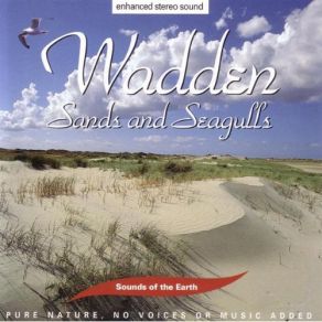 Download track Wadden - Sands And Seagulls Sounds Of The Earth