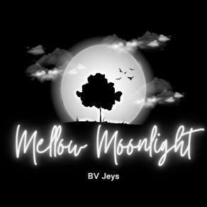 Download track Velvet Nightfall BV Jeys