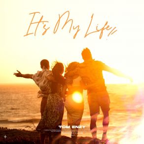 Download track It's My Life (Extended Version) Tom Enzy