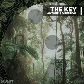 Download track The Key (Radio Mix) Antonello Restivo