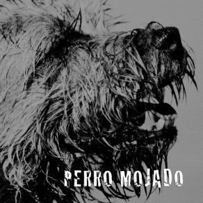 Download track Rubia Inoxidable Perro Mojado