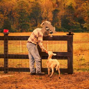 Download track Ratchet Barn Dance Lamboverrice