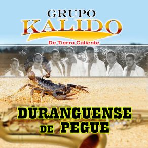 Download track Dame Un Beso Y Dime Adios Grupo Kalido De Tierra Caliente