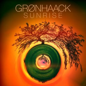 Download track In Search Of A Memory Grønhaack