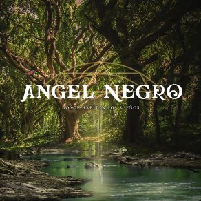 Download track Donde Habitan Los Sueños Angel Negro