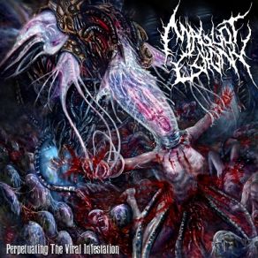 Download track Translocation Of Inhumanity Maggot Colony