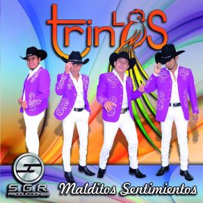 Download track La Acamaya Los Trinos