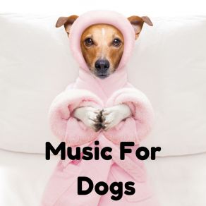 Download track Doggie Adventures Calm Pets Music Academy