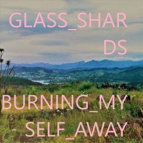 Download track Bird333 Glass Shards