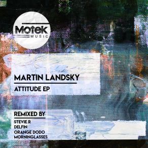 Download track Leipzig House (Stevie R And Orange Dodo Remix) Martin LandskySTEVIE R