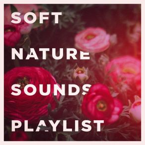 Download track The Song Of Venus Nature Sounds Relaxation: Music For Sleep