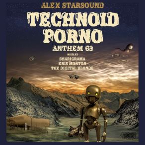 Download track Technoid Porno (Anthem 69) (The Digital Blonde's Dressed In Vinyl Remastered Version) Alex StarsoundThe Digital Blonde